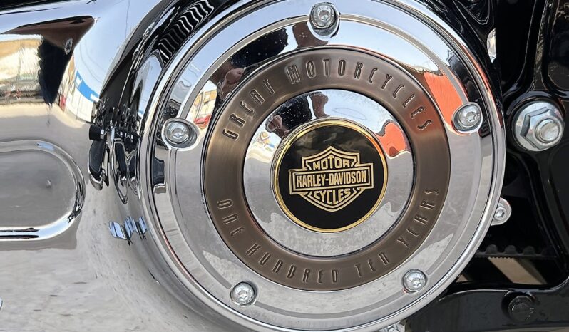 HARLEY DAVIDSON HERITAGE SOFTAIL CLASSIC 110TH lleno