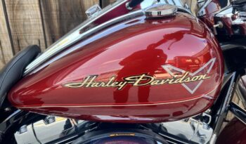 HARLEY DAVIDSON FLHR ROAD KING lleno