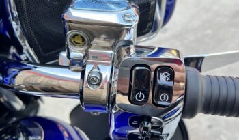 INDIAN ROADMASTER LIMITED lleno