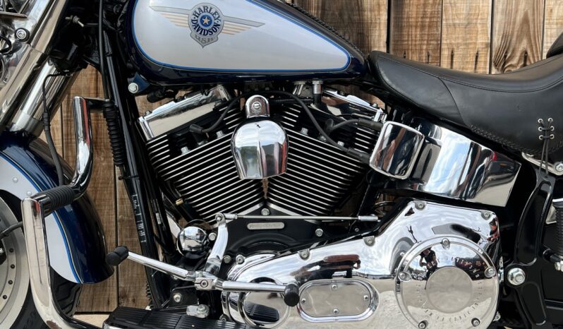 HARLEY DAVIDSON FAT BOY lleno