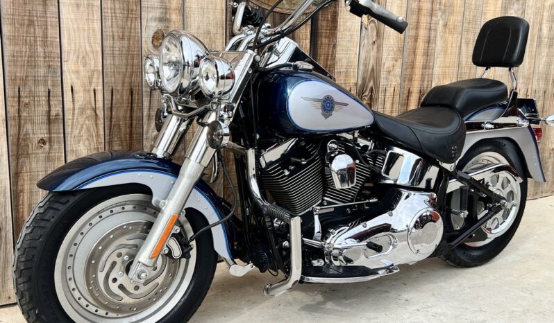 HARLEY DAVIDSON FAT BOY lleno