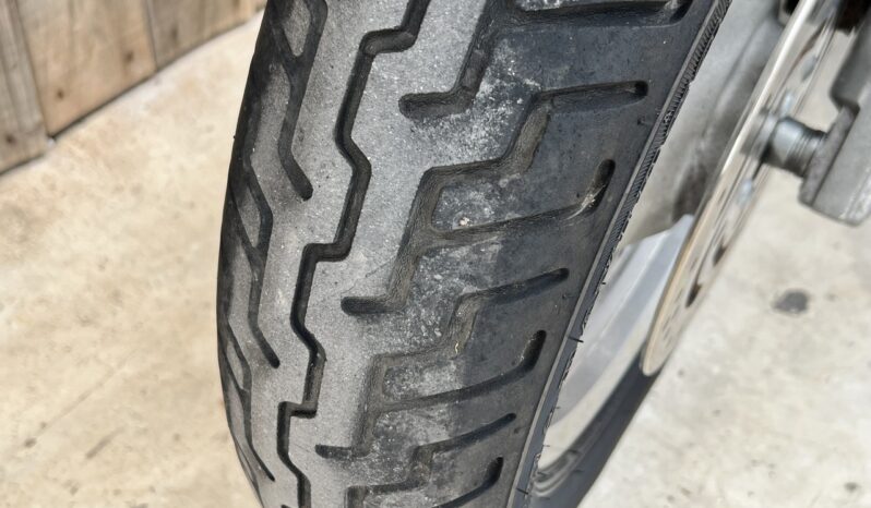 HARLEY DAVIDSON FAT BOY lleno