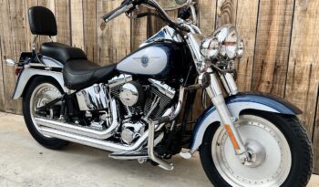 HARLEY DAVIDSON FAT BOY lleno