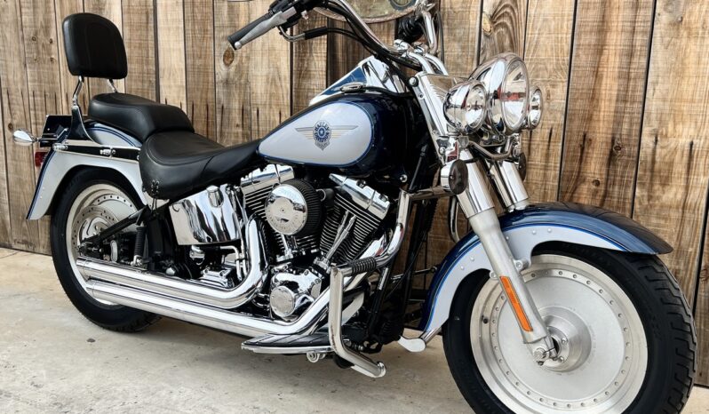 HARLEY DAVIDSON FAT BOY lleno