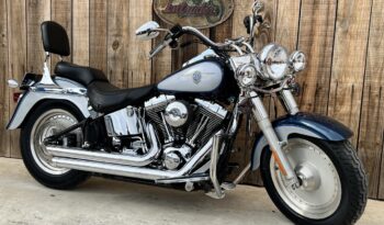 HARLEY DAVIDSON FAT BOY lleno
