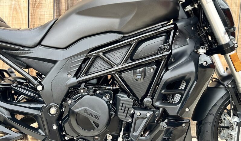 BENELLI 502 C lleno