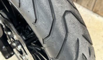 BENELLI 502 C lleno