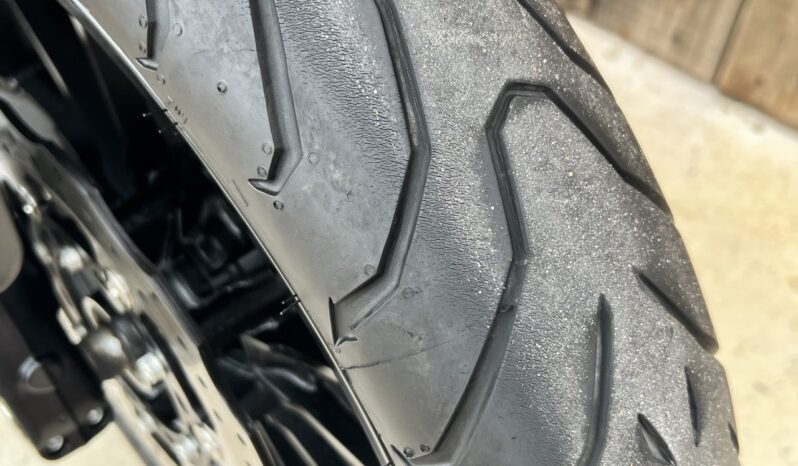 BENELLI 502 C lleno