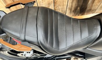 BENELLI 502 C lleno