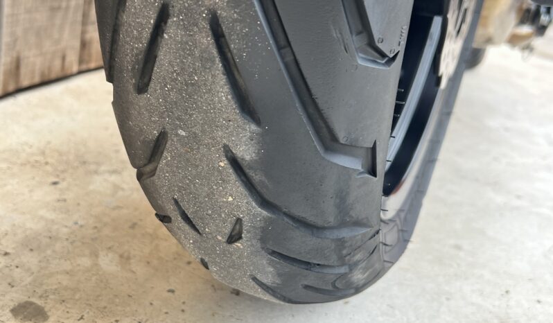 BENELLI 502 C lleno