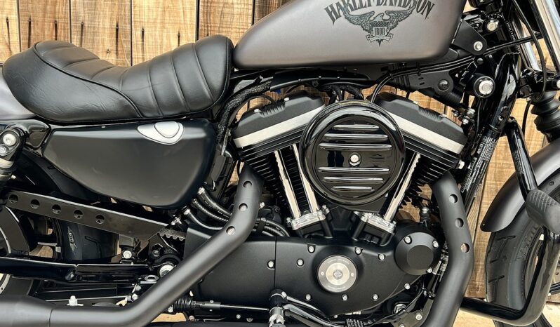 HARLEY DAVIDSON XL883 IRON lleno