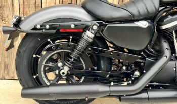 HARLEY DAVIDSON XL883 IRON lleno