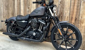 HARLEY DAVIDSON XL883 IRON lleno