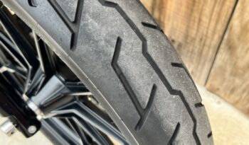 HARLEY DAVIDSON XL883 IRON lleno