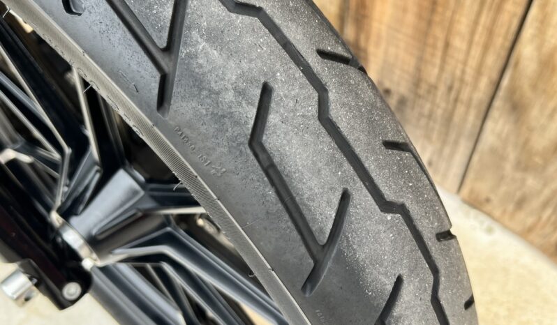 HARLEY DAVIDSON XL883 IRON lleno