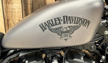 HARLEY DAVIDSON XL883 IRON lleno