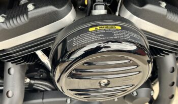 HARLEY DAVIDSON XL883 IRON lleno