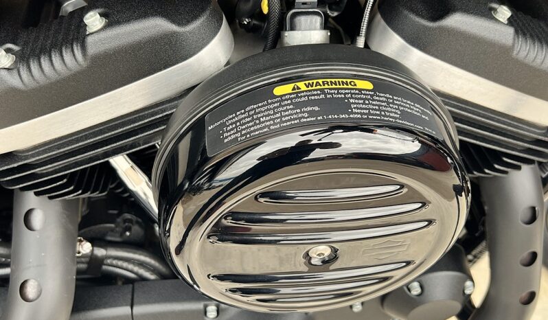 HARLEY DAVIDSON XL883 IRON lleno