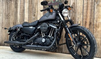 HARLEY DAVIDSON XL883 IRON lleno