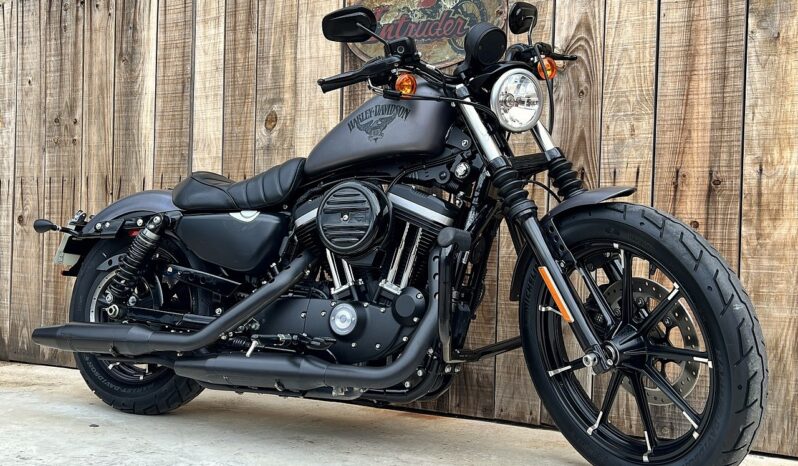 HARLEY DAVIDSON XL883 IRON lleno