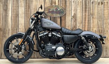HARLEY DAVIDSON XL883 IRON lleno