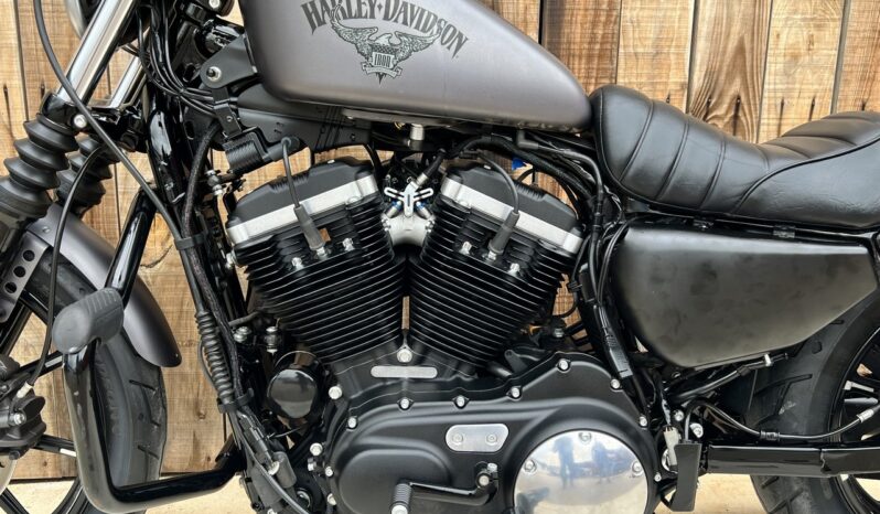 HARLEY DAVIDSON XL883 IRON lleno