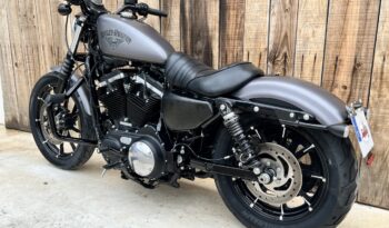 HARLEY DAVIDSON XL883 IRON lleno