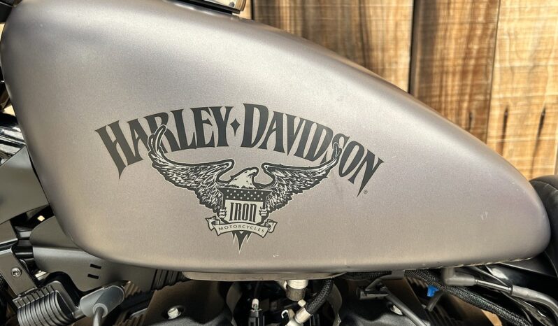 HARLEY DAVIDSON XL883 IRON lleno