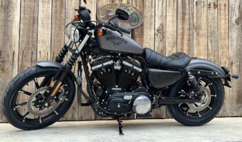 HARLEY DAVIDSON XL883 IRON lleno