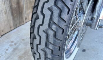 HARLEY DAVIDSON ROAD KING CLASSIC lleno