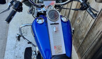 HARLEY DAVIDSON ROAD KING CLASSIC lleno