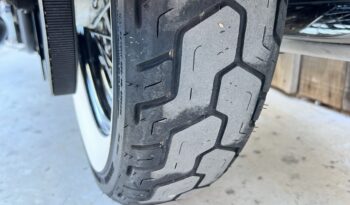 HARLEY DAVIDSON ROAD KING CLASSIC lleno