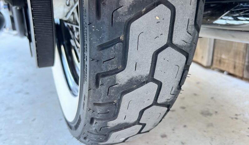 HARLEY DAVIDSON ROAD KING CLASSIC lleno