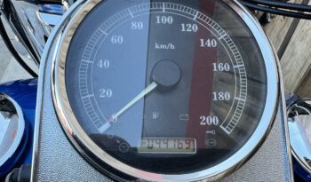 HARLEY DAVIDSON ROAD KING CLASSIC lleno