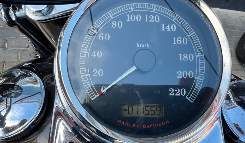 HARLEY DAVIDSON HERITAGE SOFTAIL CLASSIC 110TH lleno