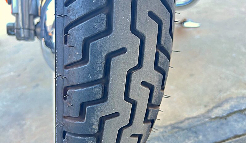 HARLEY DAVIDSON HERITAGE SOFTAIL CLASSIC 110TH lleno