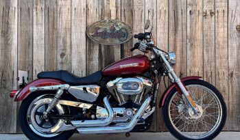 HARLEY DAVIDSON XL1200 CUSTOM lleno