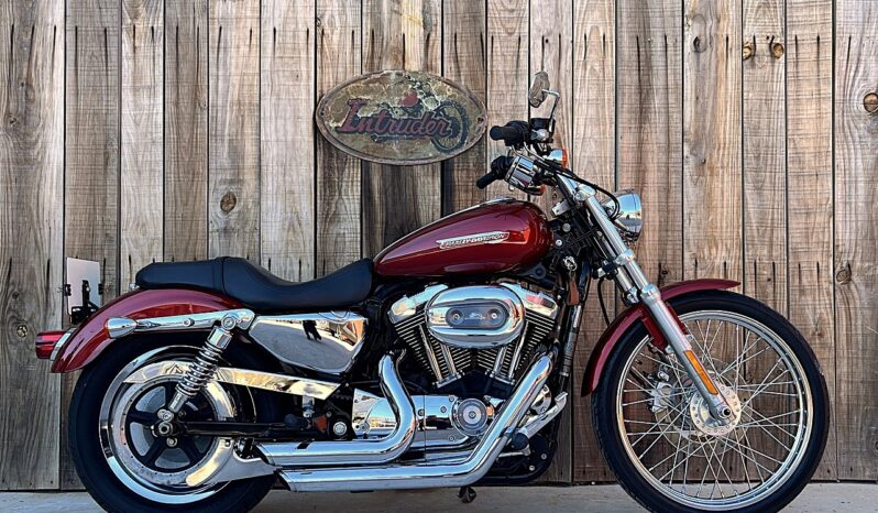 HARLEY DAVIDSON XL1200 CUSTOM lleno