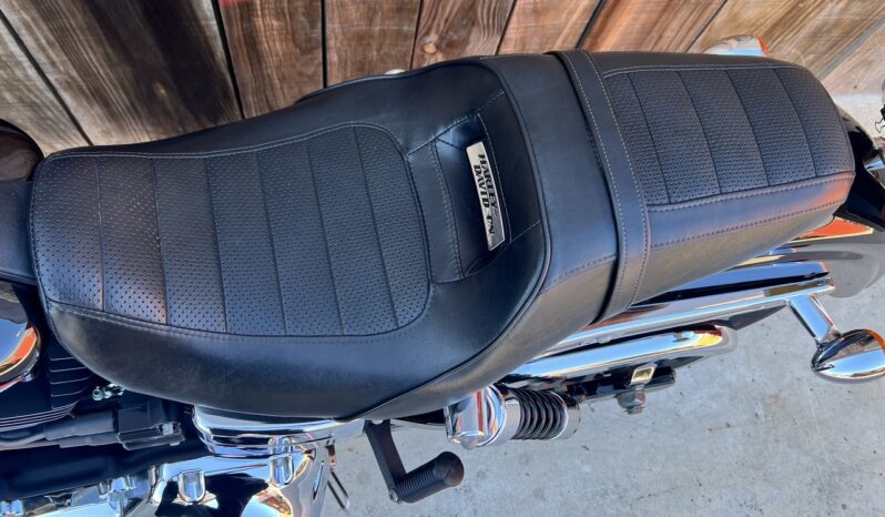 HARLEY DAVIDSON DYNA LOW RIDER 103 lleno