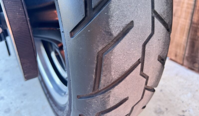 HARLEY DAVIDSON DYNA LOW RIDER 103 lleno