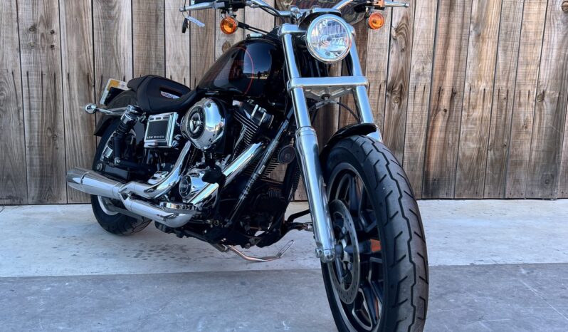 HARLEY DAVIDSON DYNA LOW RIDER 103 lleno