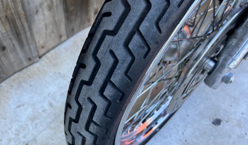 HARLEY DAVIDSON XL1200 CUSTOM lleno