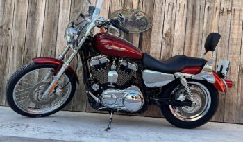 HARLEY DAVIDSON XL1200 CUSTOM lleno