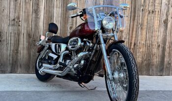 HARLEY DAVIDSON XL1200 CUSTOM lleno