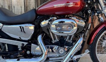 HARLEY DAVIDSON XL1200 CUSTOM lleno