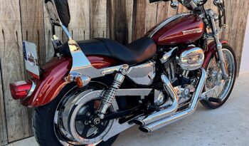 HARLEY DAVIDSON XL1200 CUSTOM lleno