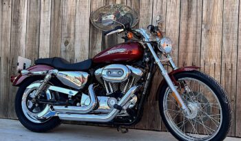 HARLEY DAVIDSON XL1200 CUSTOM lleno