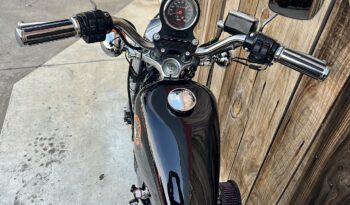 HARLEY DAVIDSON XL883 SPORTSTER lleno