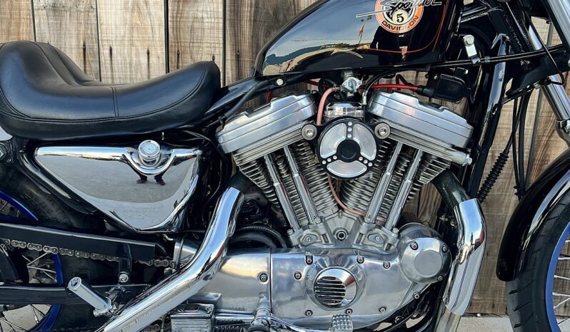 HARLEY DAVIDSON XL883 SPORTSTER lleno