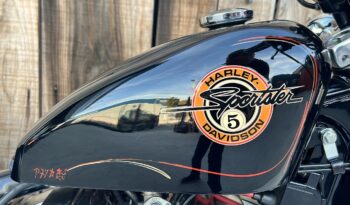 HARLEY DAVIDSON XL883 SPORTSTER lleno